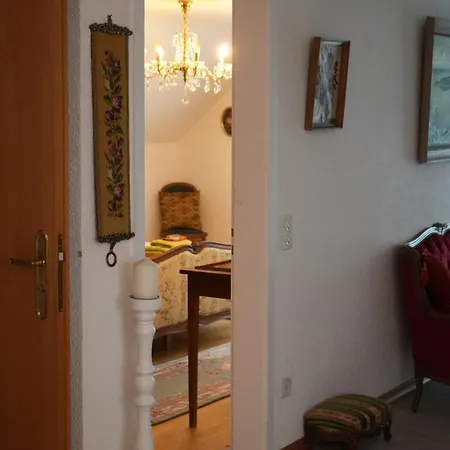 Dream In Near Forest