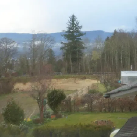 Homestay Dream In Near Forest *