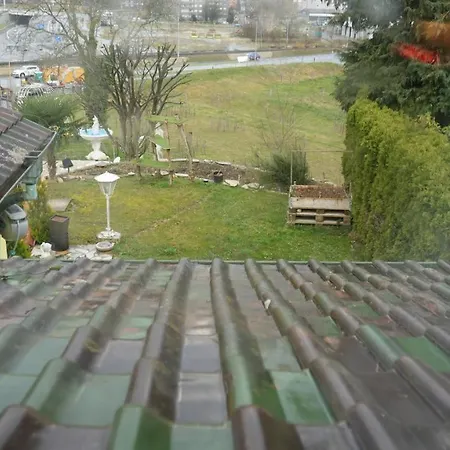 Dream In Near Forest *