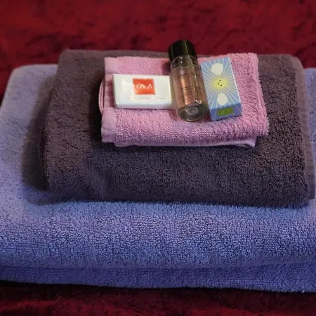 Dream In Near Forest *